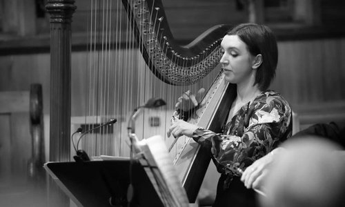 Jazz Harp with Michelle Velvin @ Te Awe Library.jpg